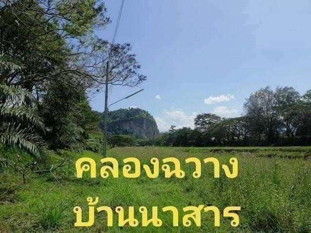 ที่ดิน ลดราคา ที่ดิน ลดราคา