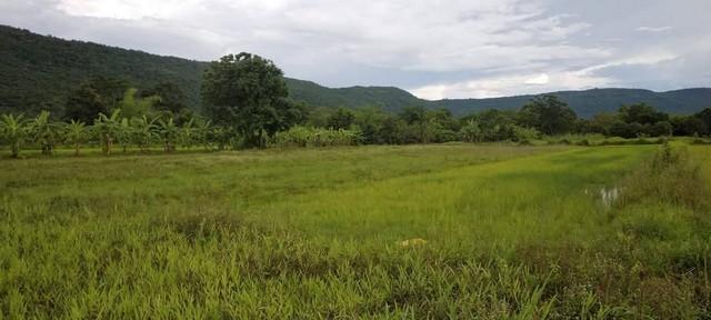 ��·��Թ �ժ��٢͹��