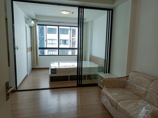 ��¤͹� �ҧ�