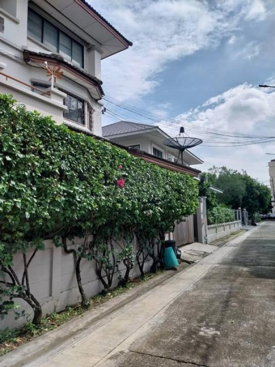 ��º�ҹ ��بѡá�ا෾