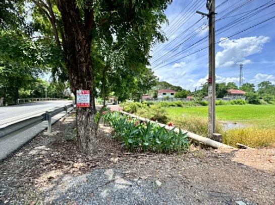 ��·��Թ ˹ͧ�͡��ا෾