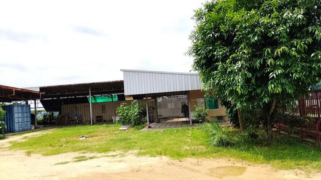 ����ç�ҹ �Ԥ��Ѳ�����ͧ