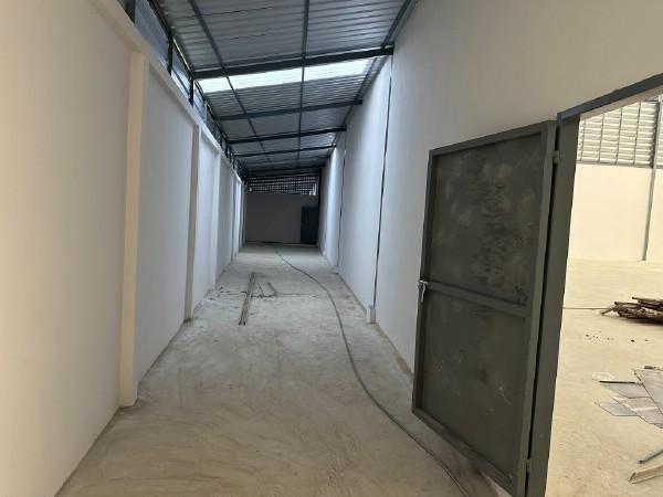 ⡴ѧ������ ��з���ẹ��ط��Ҥ�