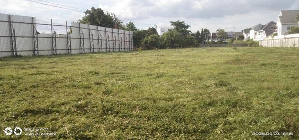 ���Թ 1137 ���ҧ��