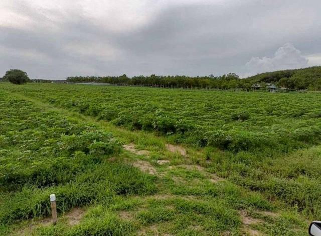 ���ͧ �� ataproperty22