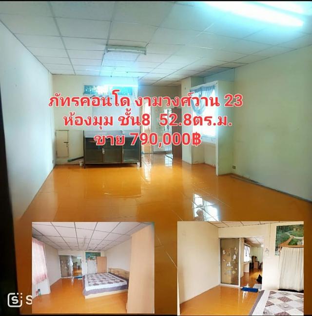 �͹����ͧ������� �������