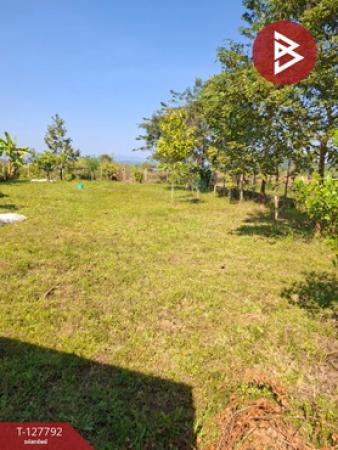 ���Թ ��§���