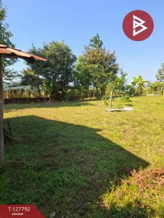 ��·��Թ ���ͧ��§�����§���