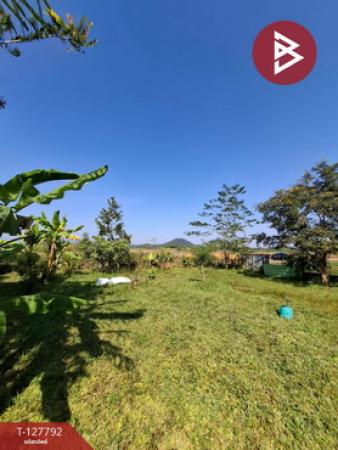 ��·��Թ ���ͧ��§�����§���