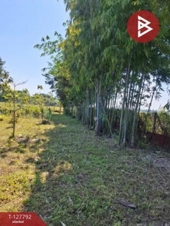 ��·��Թ ���ͧ��§�����§���