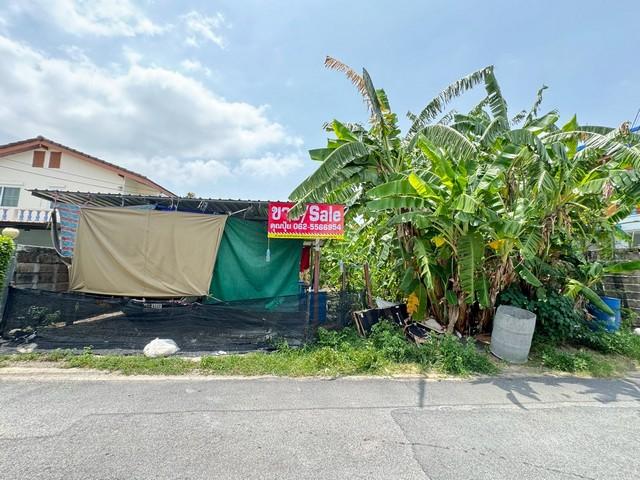 ���Թ ������ԭ