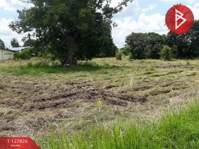 �ź��� �� The Best Property Agent