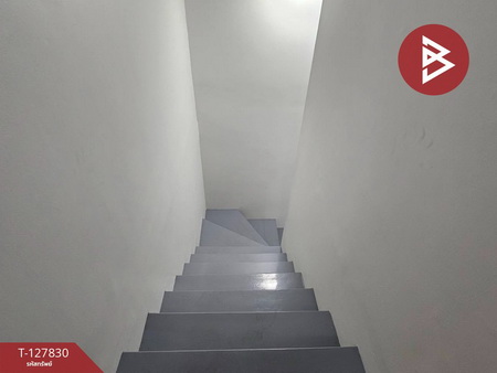 ��·�ǹ������� ������