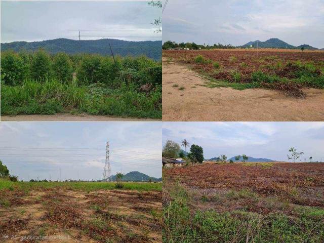 ��ªź��� �� Pattaya dot Property