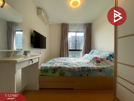 ��¤͹� �ҧ�ҡ�ا෾