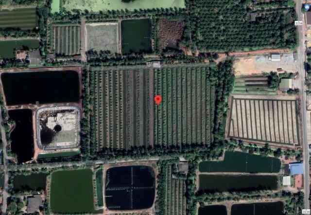 ���Թ�����ҹ ��û��