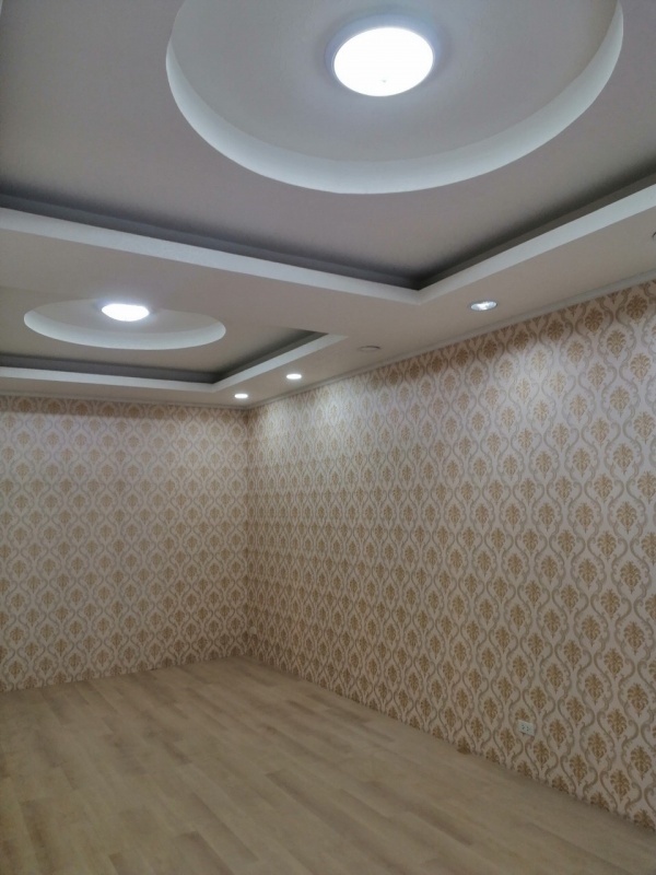 �Ҥ�þҳԪ�������� �ҧ�ع��¹��ا෾