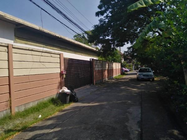 �ç�ҹ������ �ѧ�ͧ��ҧ