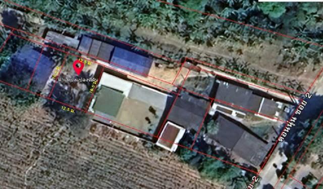 ����Ҫ� �� sopa