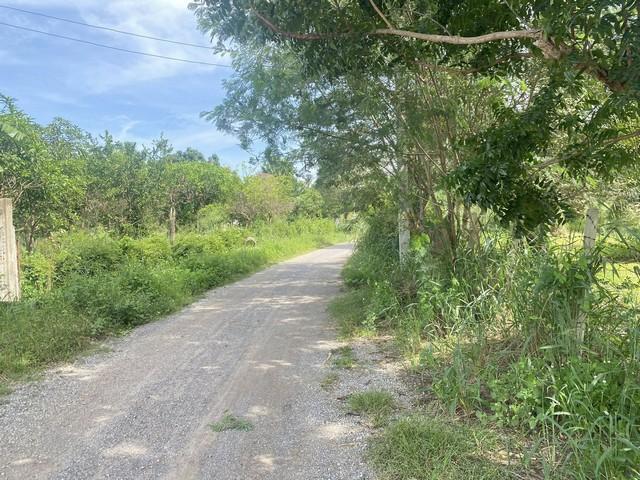 ���Թ����з��ç��� ��ШǺ���բѹ��