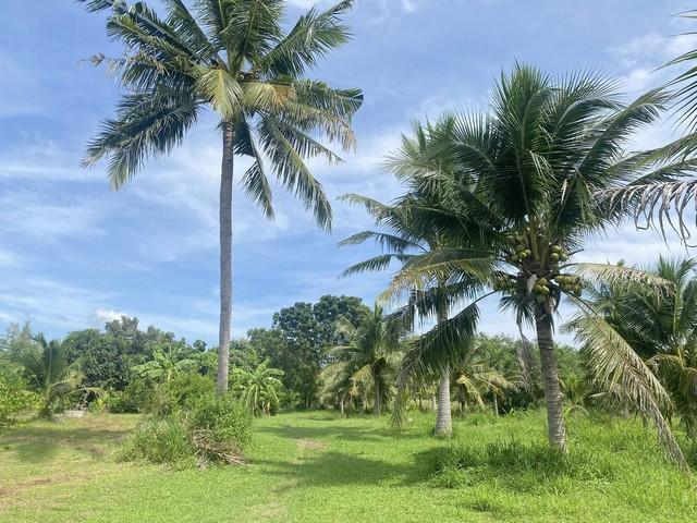 ���Թ�觢�� ��ШǺ���բѹ��