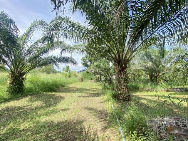 ��·��Թ ��ШǺ���բѹ��