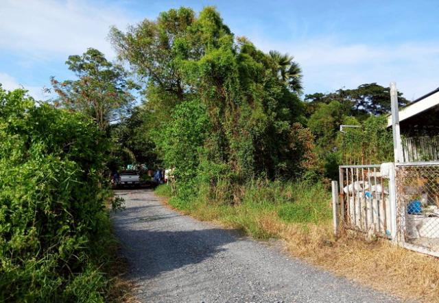 ��·��Թ ˹ͧ�͡��ا෾