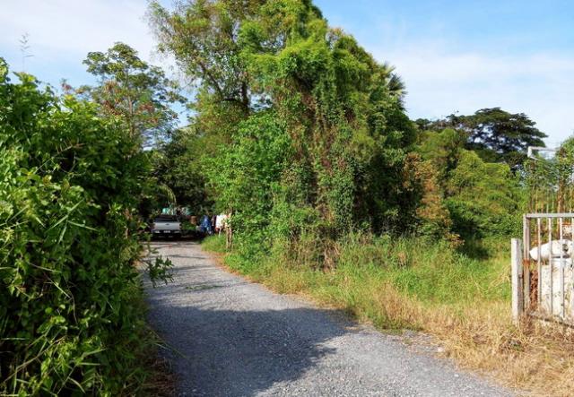 ��·��Թ ˹ͧ�͡��ا෾