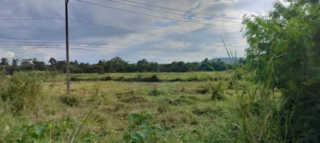 ���Թ 7 ���