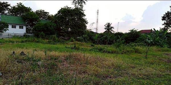 �ҷ� ��ا෾ �� Estate Corner