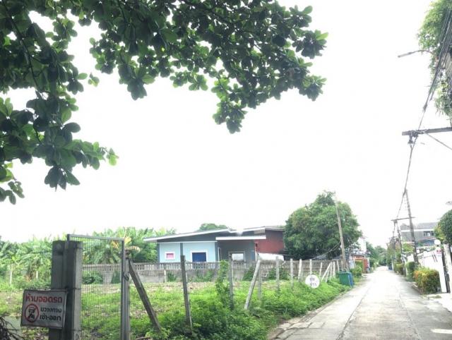 ���Թ�ҧࢹ ��ا෾��ҹ��