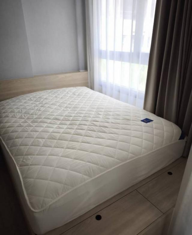 �͹�ö俿�� ������