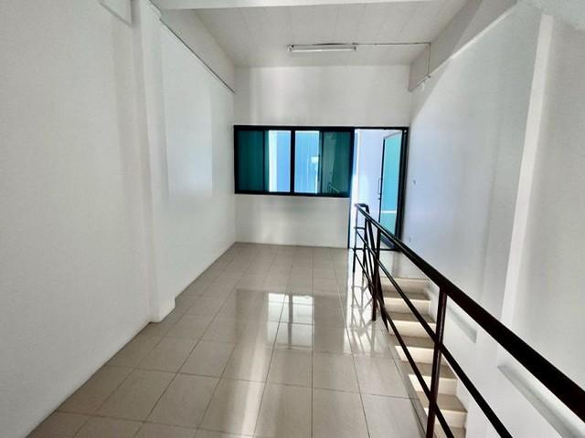 �Ҥ�þҳԪ�������� ����ҪҪź���