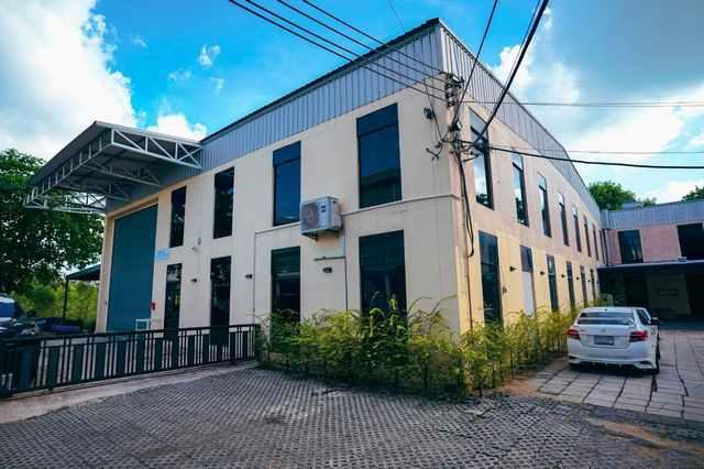 ����ç�ҹ �ҧ�����طû�ҡ��