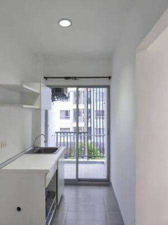 ��¤͹� �ҡ��紹������