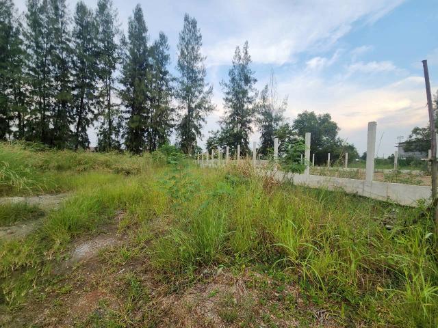 ��� �� Estate Corner