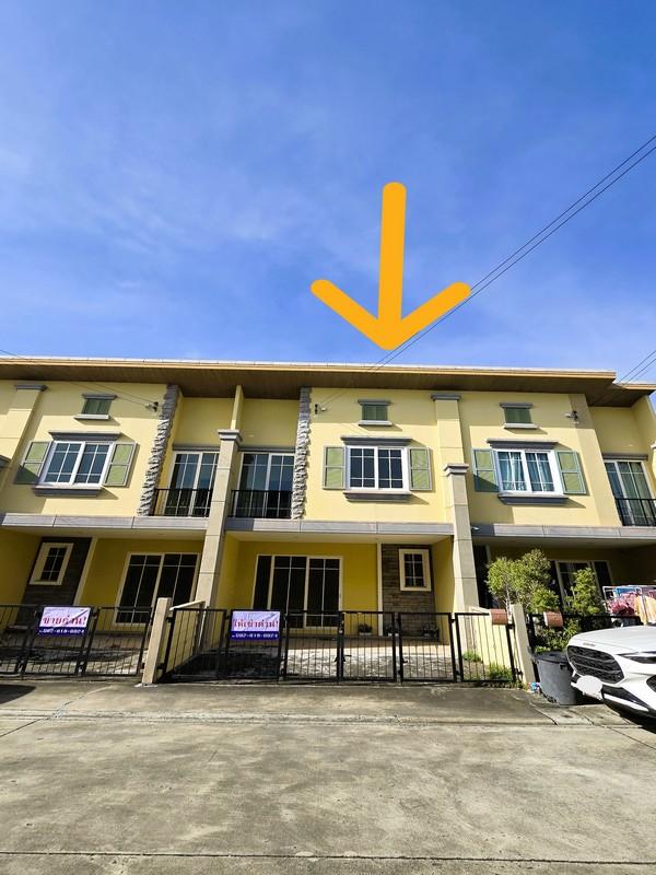 �ҧ� �� Nititut