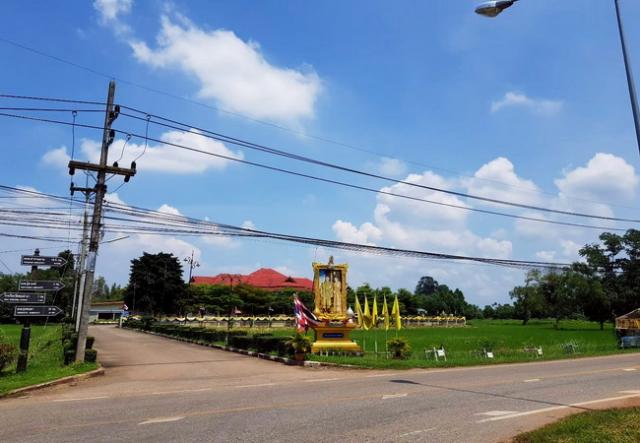 ���Թ 19 ���