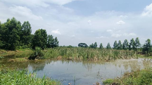 ���Թ���ͧ�����ҹ� �����ҹ�