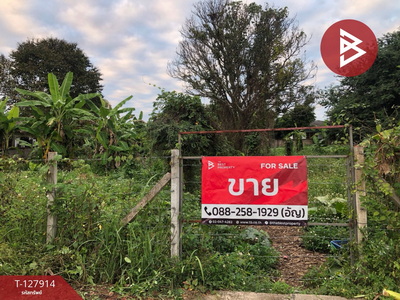 ���Թ ��§���