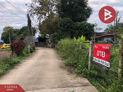 ��·��Թ ���ͧ��§�����§���