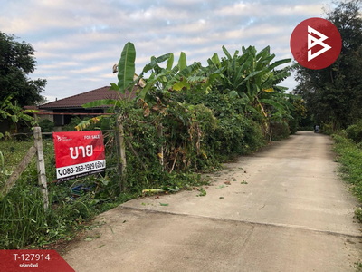 ��·��Թ ���ͧ��§�����§���