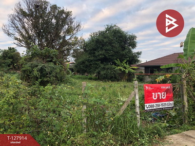 ��·��Թ ���ͧ��§�����§���