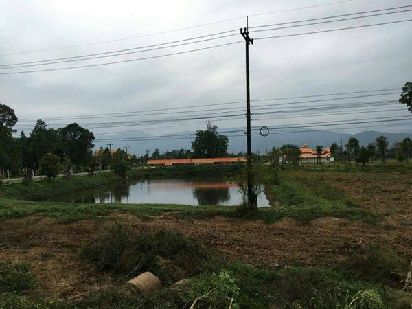 ���Թ �֧���