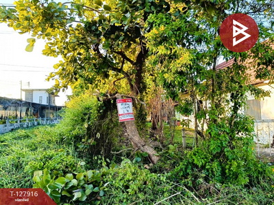 ���ͧ �� The Best Property Agent