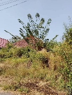 ��·��Թ �Ҥһ�С�Ȣ�� 900,000 �ҷ