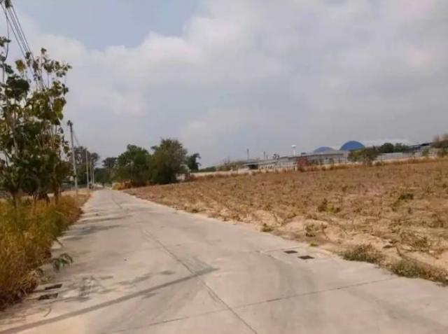 ���Թ 19 ���