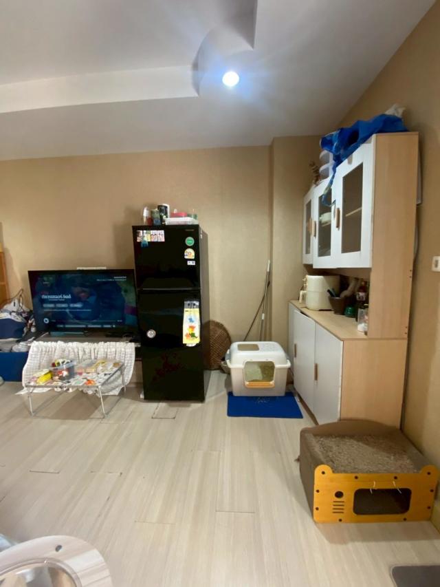 �͹��Ҵ����� ��ا෾