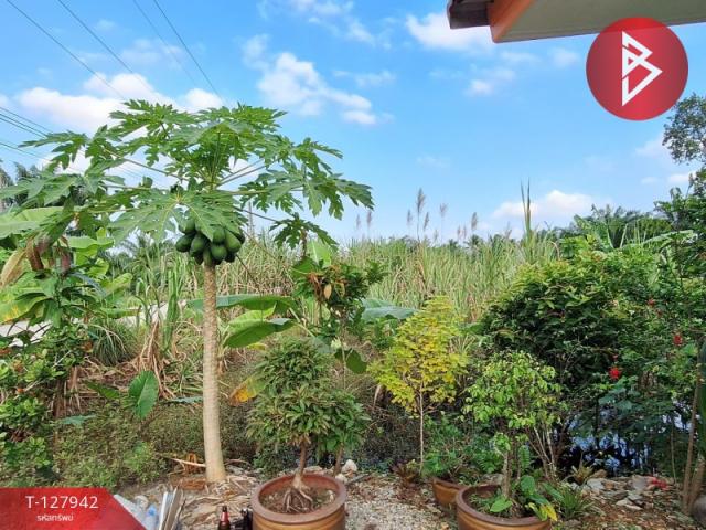 ��º�ҹ����� ���ͧ�����ո����Ҫ�����ո����Ҫ