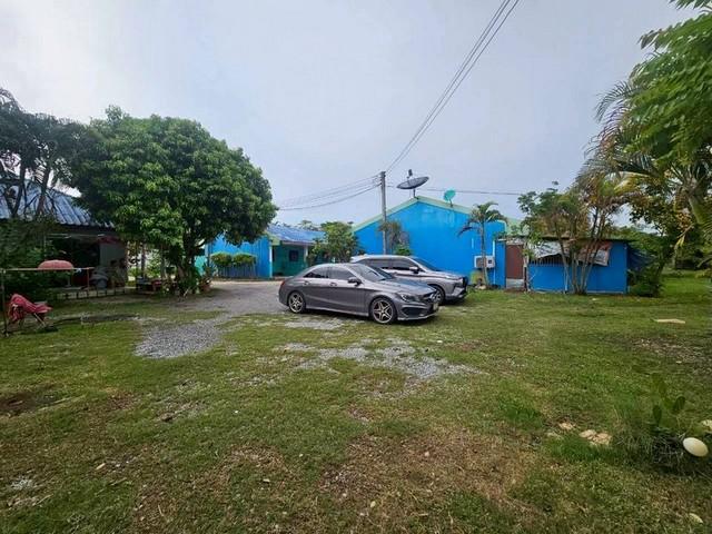 ��¸�áԨ �ѵ�պ �ź���